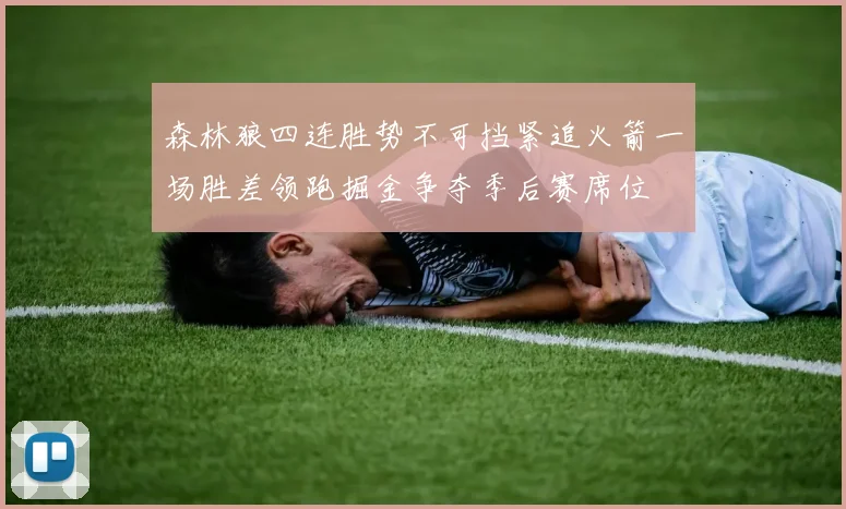 森林狼四连胜势不可挡紧追火箭一场胜差领跑掘金争夺季后赛席位