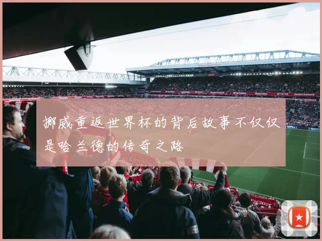 挪威重返世界杯的背后故事不仅仅是哈兰德的传奇之路