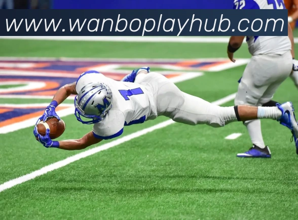 万博体育平台生态图